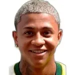 Guilherme Cardoso