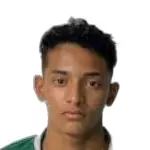 Halerrandrio Feitosa
