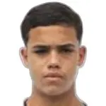 Gustavo Pereira