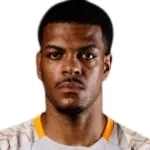 Saulo Silva